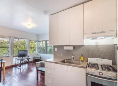 1555 Pennsylvania Ave # 202, Miami Beach FL 33139 Miami Beach, FL real estate