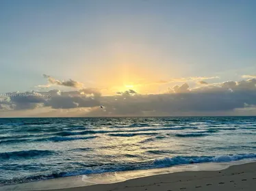 6917 Collins Ave # 408, Miami Beach FL 33141 Miami Beach, FL real estate